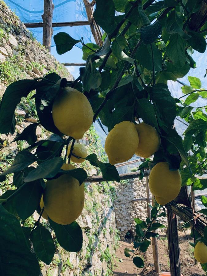 マイオーリ Il Giardino Doratoヴィラ エクステリア 写真